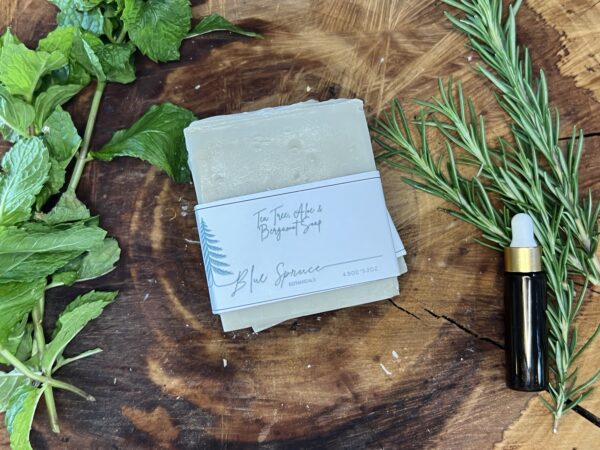 Tea Tree Aloe & Bergamot with Sea Clay